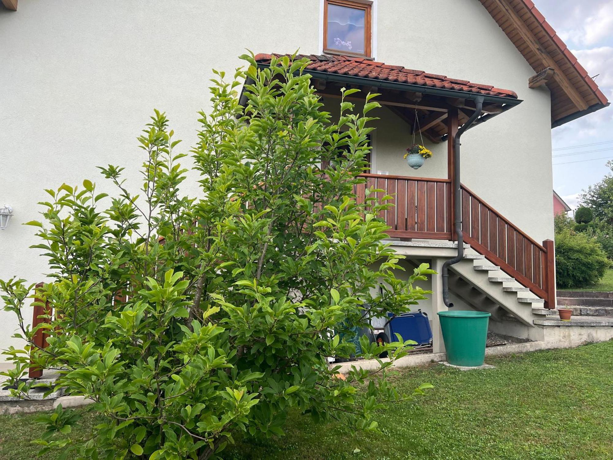 Ferienwohnung Doerfler Hollfeld Exterior photo